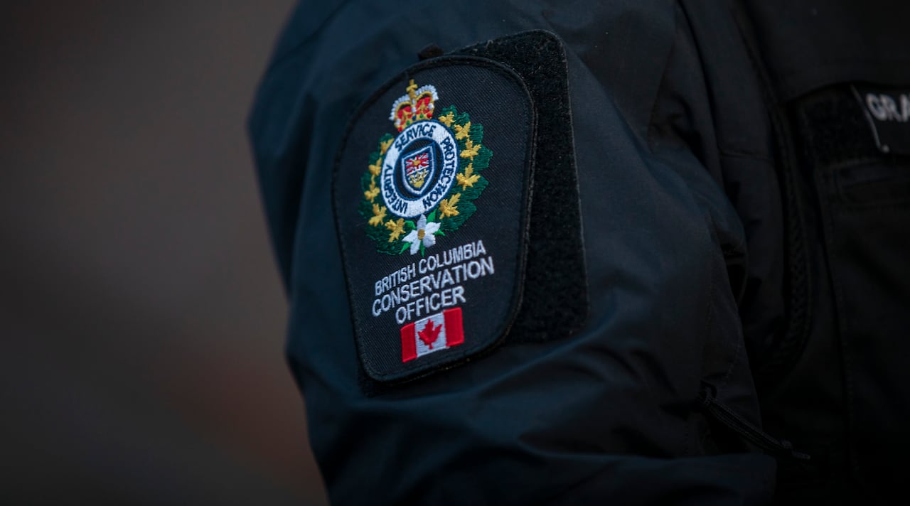 A shoulder patch showing a log with the words British Columbian Conservation Officer under it and a small Canadian flag under that.