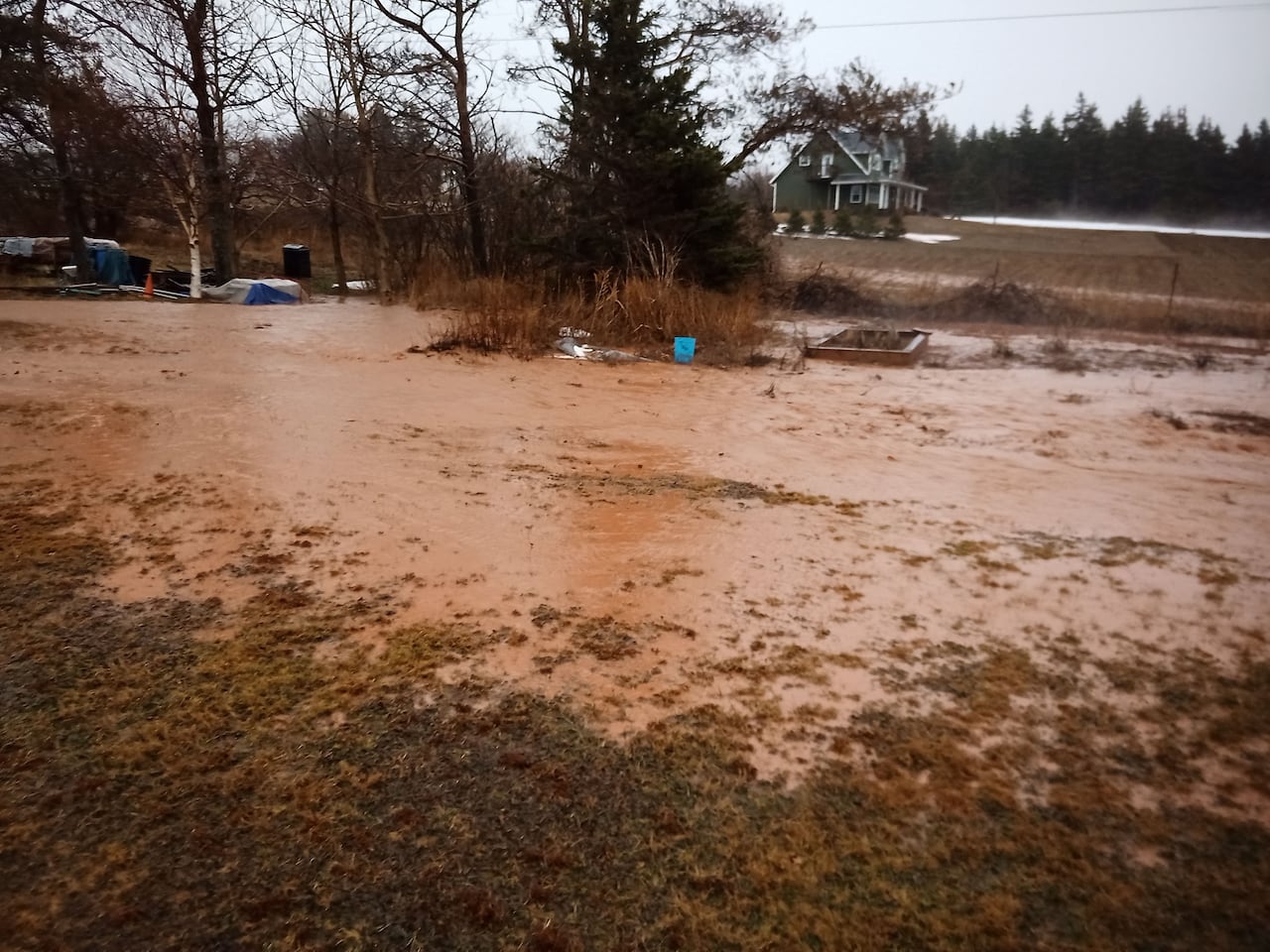 Brown water is seen on a property with trees and a house in the background.