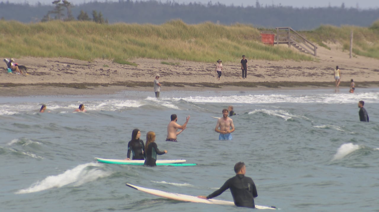Swimmers and surfers enjoy the water at Martinique Beach.