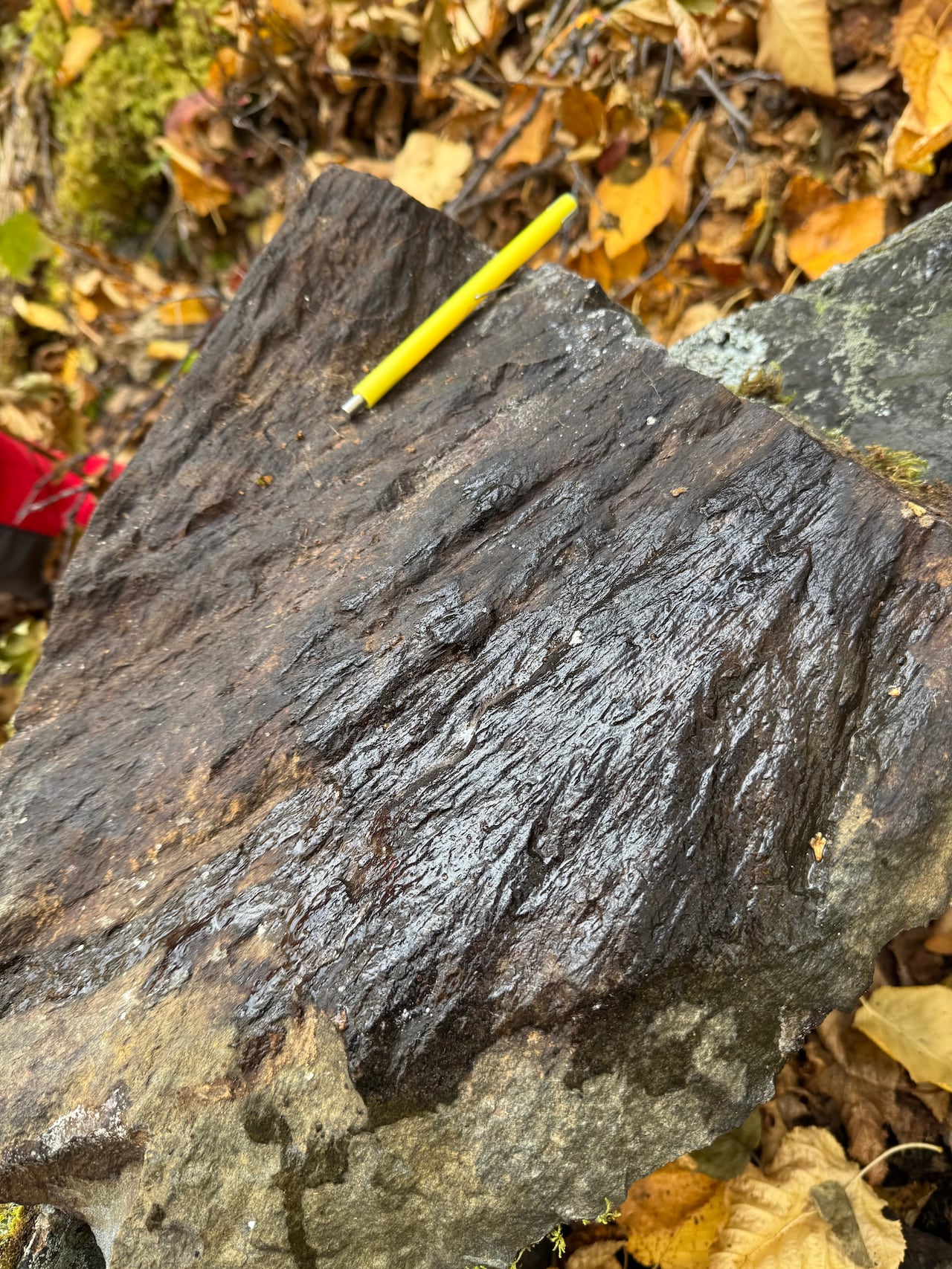 a rock