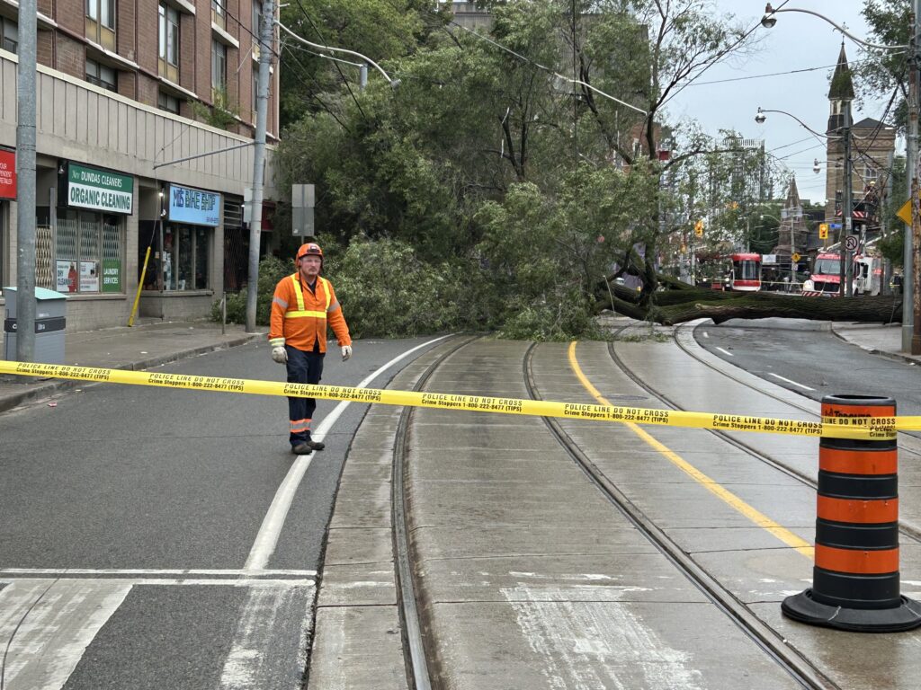A large tree fell across the road near Dundas Street West and Sherbourne Street, knocking down power lines on Aug. 24, 2026