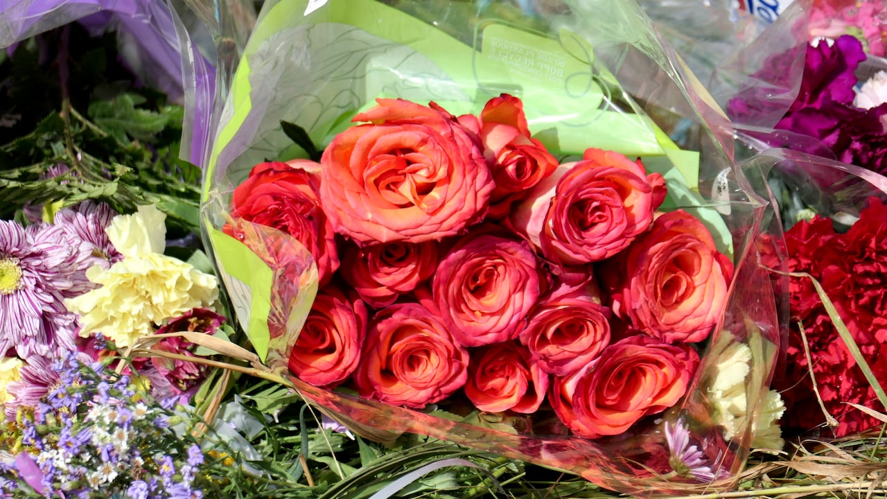 Flowers laid in a field.
