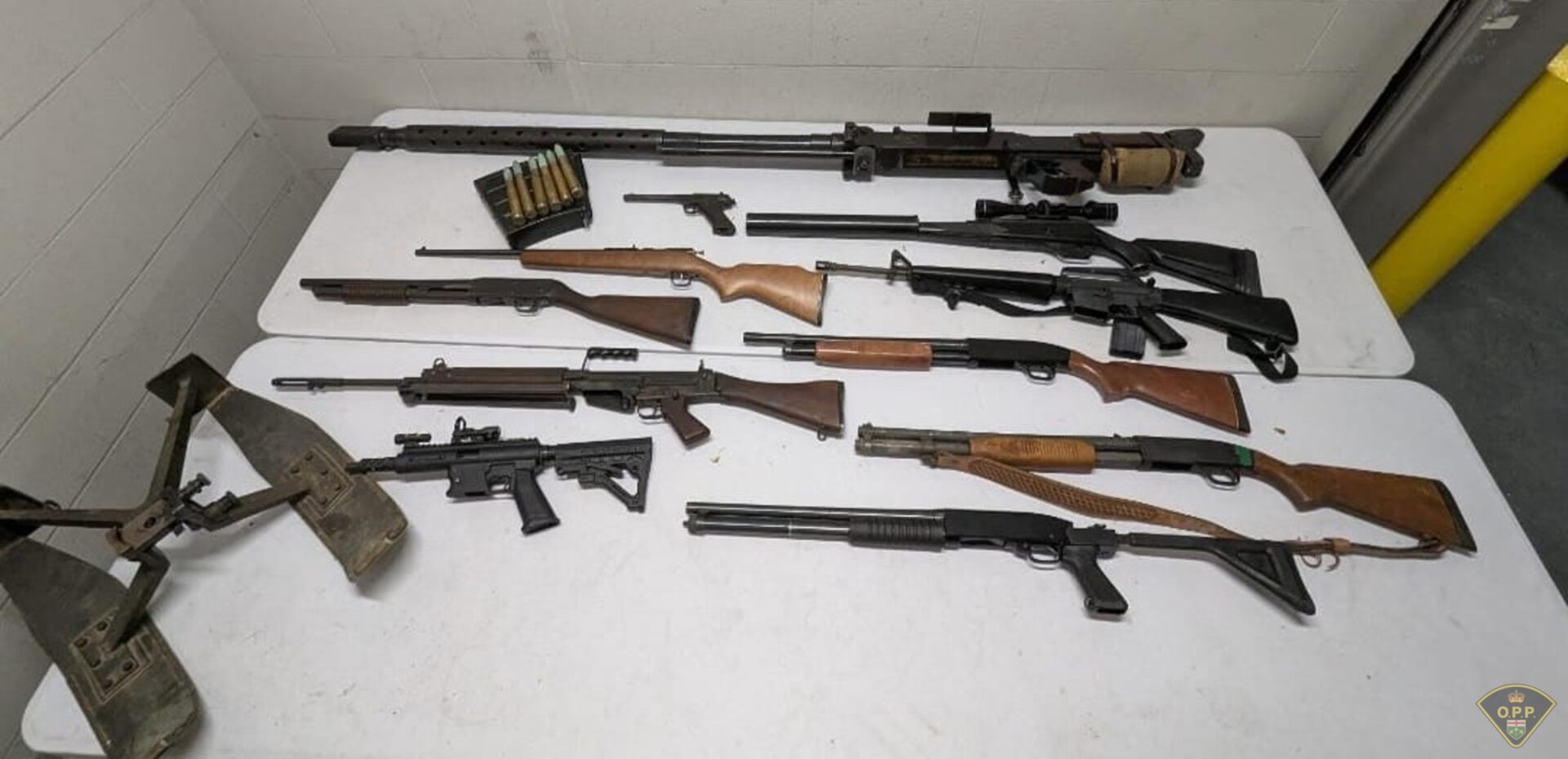 Firearms seized during cross-border investigation.