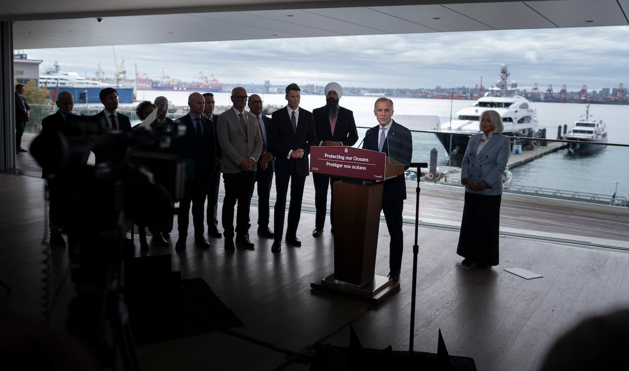 A man is seen at a podium in front of a harbour, flanked by at least a dozen others.