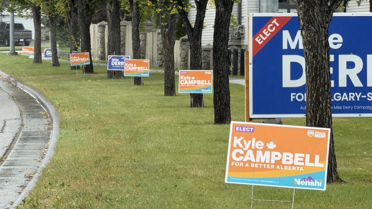 Orange and blue campaign signs line a street