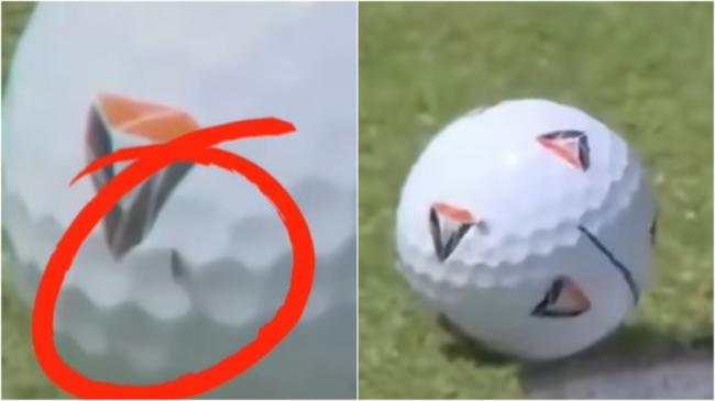 苍蝇神助攻，高尔夫球手赢得91万美金