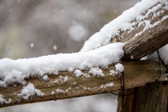 多伦多及安省部分地区本周末或迎第一场雪，气温骤降需注意防寒
