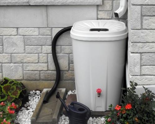rain barrel