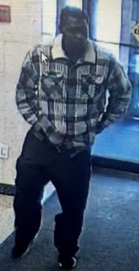 sex assault suspect 2