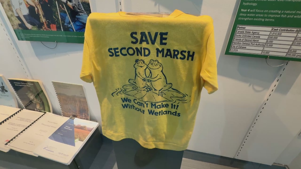 A shirt on display at an exhibit that reads: "Save Second Marsh. We can't make it without wetlands."