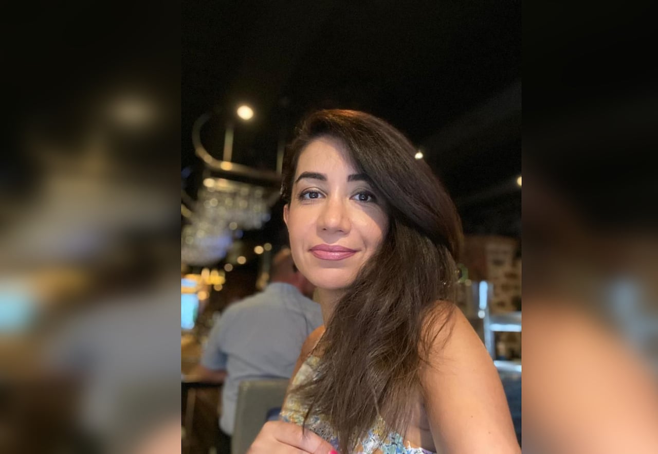 Elnaz Hajtamiri 前男友接受认罪协议，被判 4 年监禁