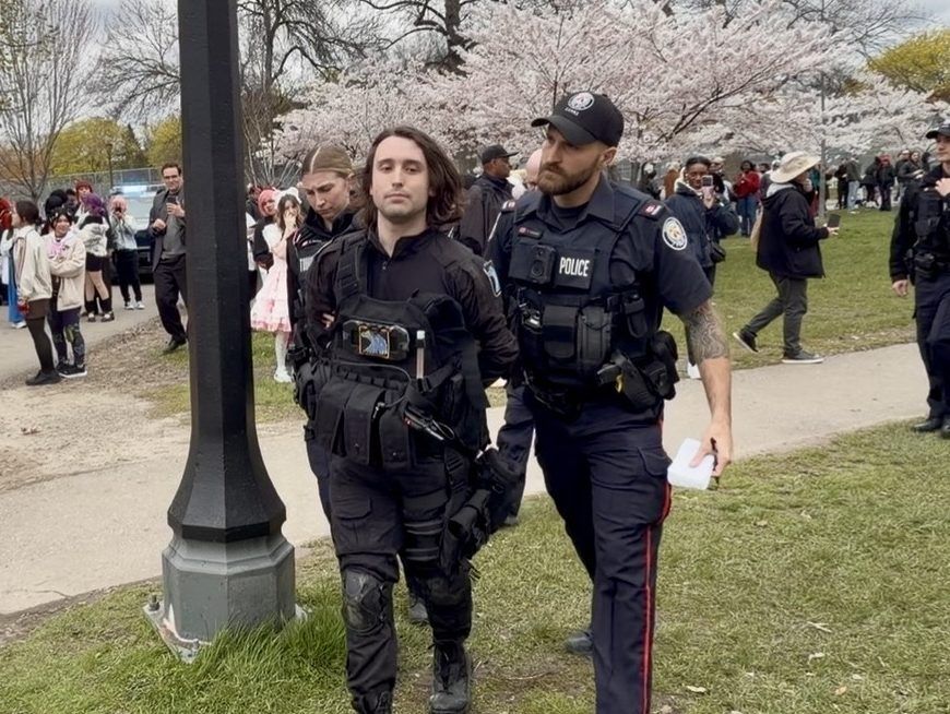 Anime Connects Cherry Blossom Cosplay Picnic