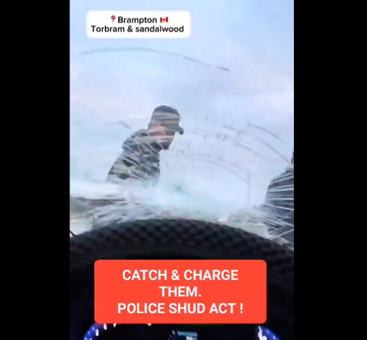 犯罪嫌疑人来自安省布兰普顿。两周后路怒视频仍然在逃：警方 ...