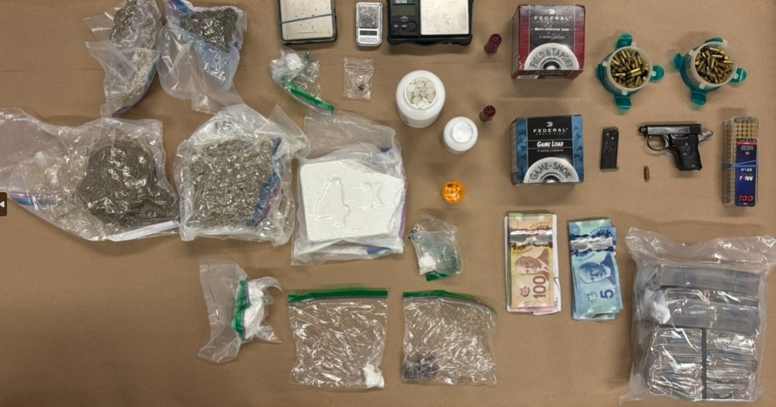 A 31-year-old man faces dozens of charges after cops allegedly seized fraudulent license plates, a handgun, illegal drugs, over 170 rounds of .22 caliber ammunition, an extended magazine containing 31 rounds of 9mm ammunition, a starter pistol, an expandable baton and more $180,000 in cash while executing search warrants in North York.