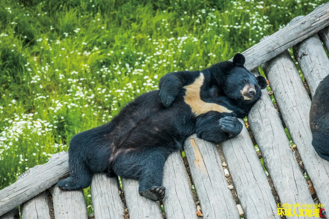 来到这里，做全中国第一个见到太阳的人