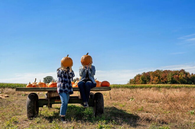 Pumpkin Head People 