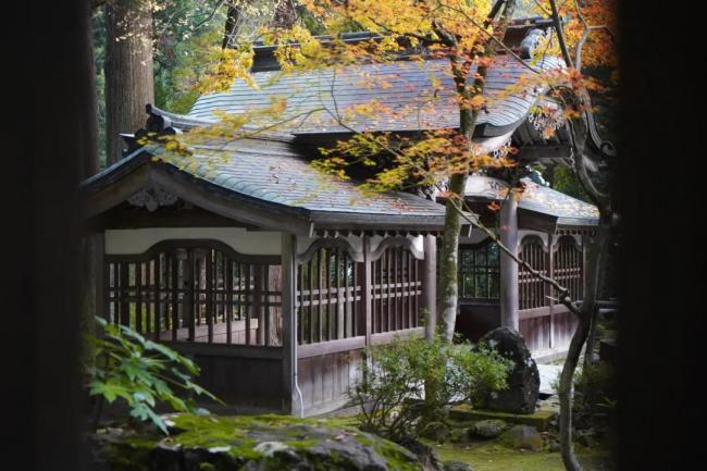 日本北陆之旅——福井