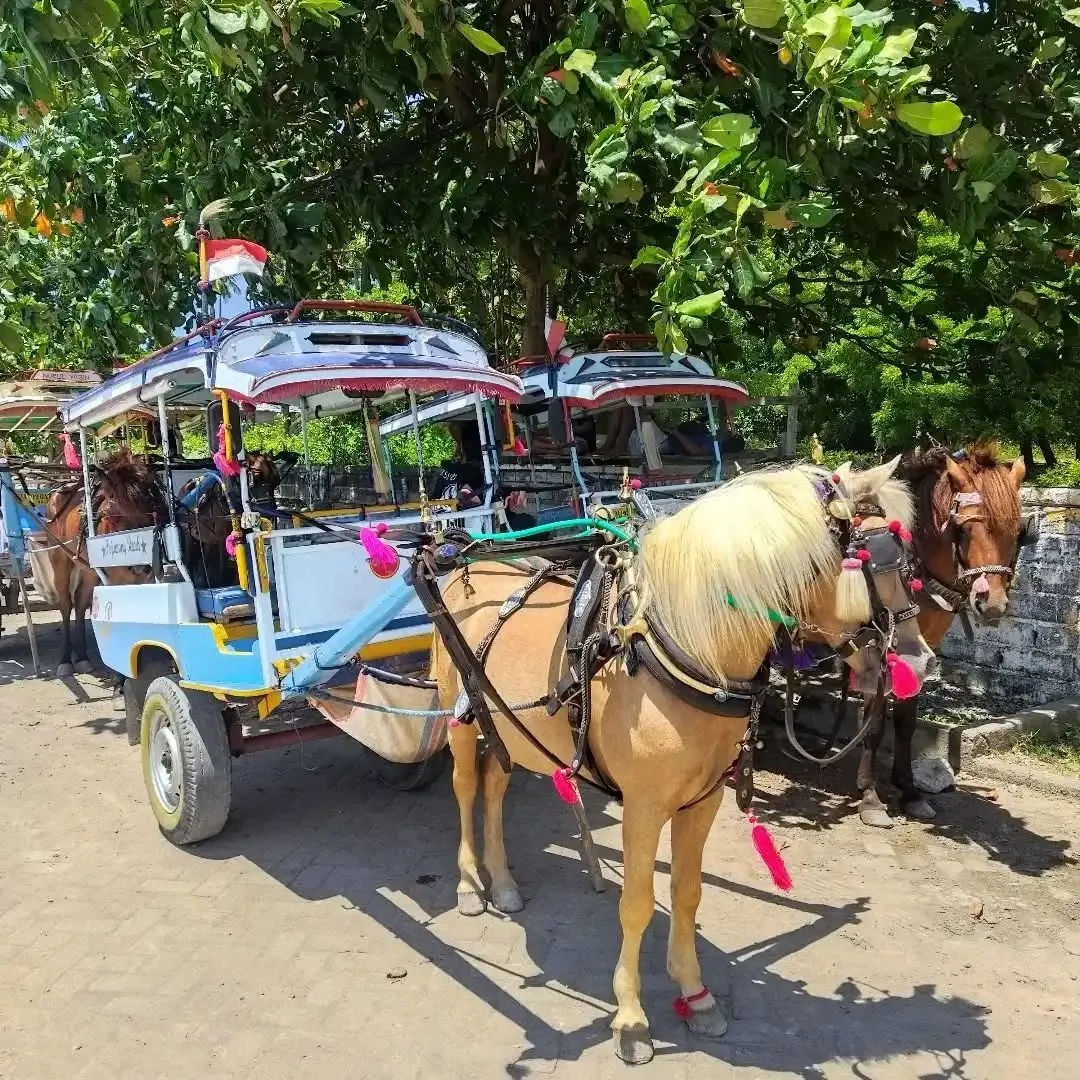 ins@lomboktourism.id