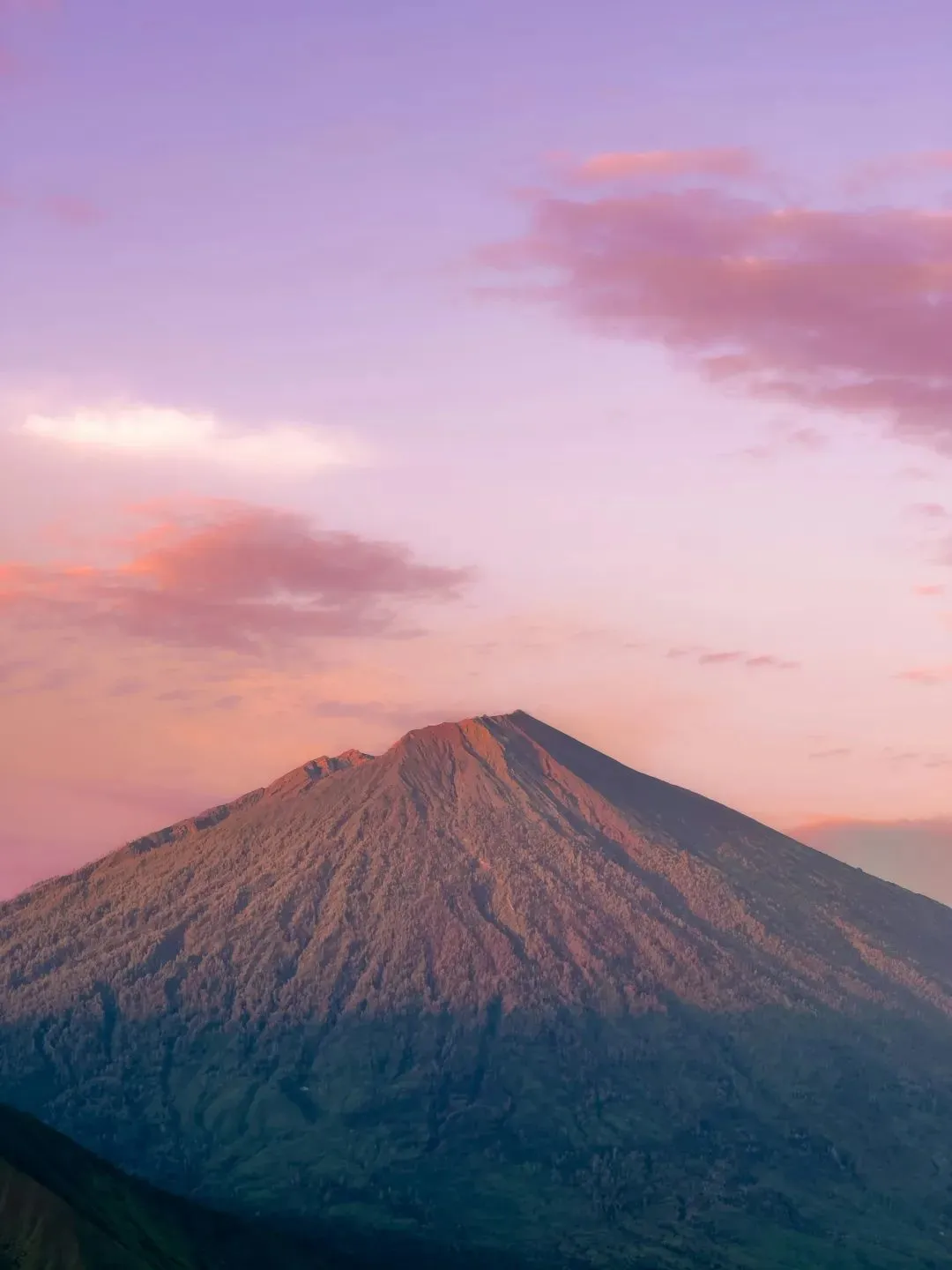 unsplash@frizki alfian
