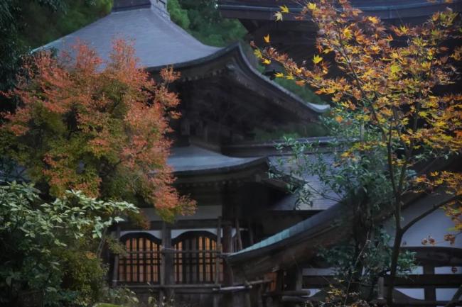 日本北陆之旅——福井