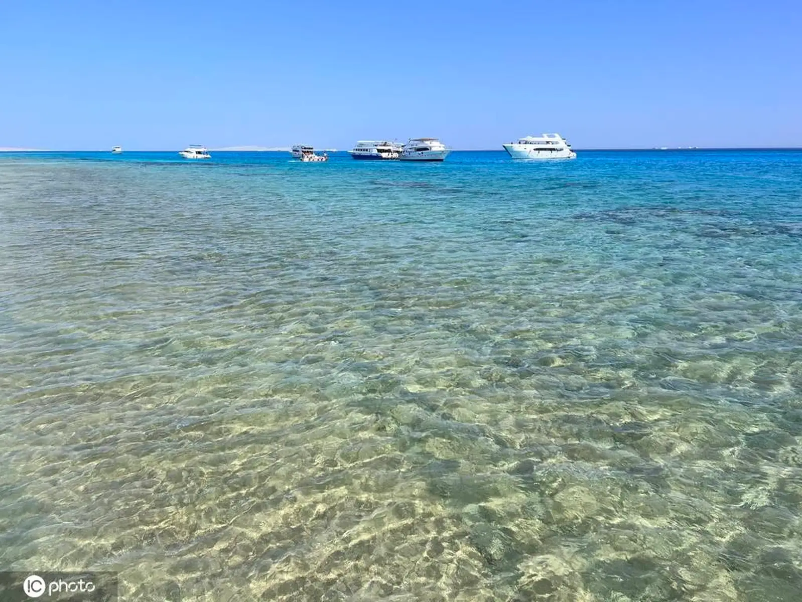 埃及赫尔格达红海 沙漠海洋奇遇