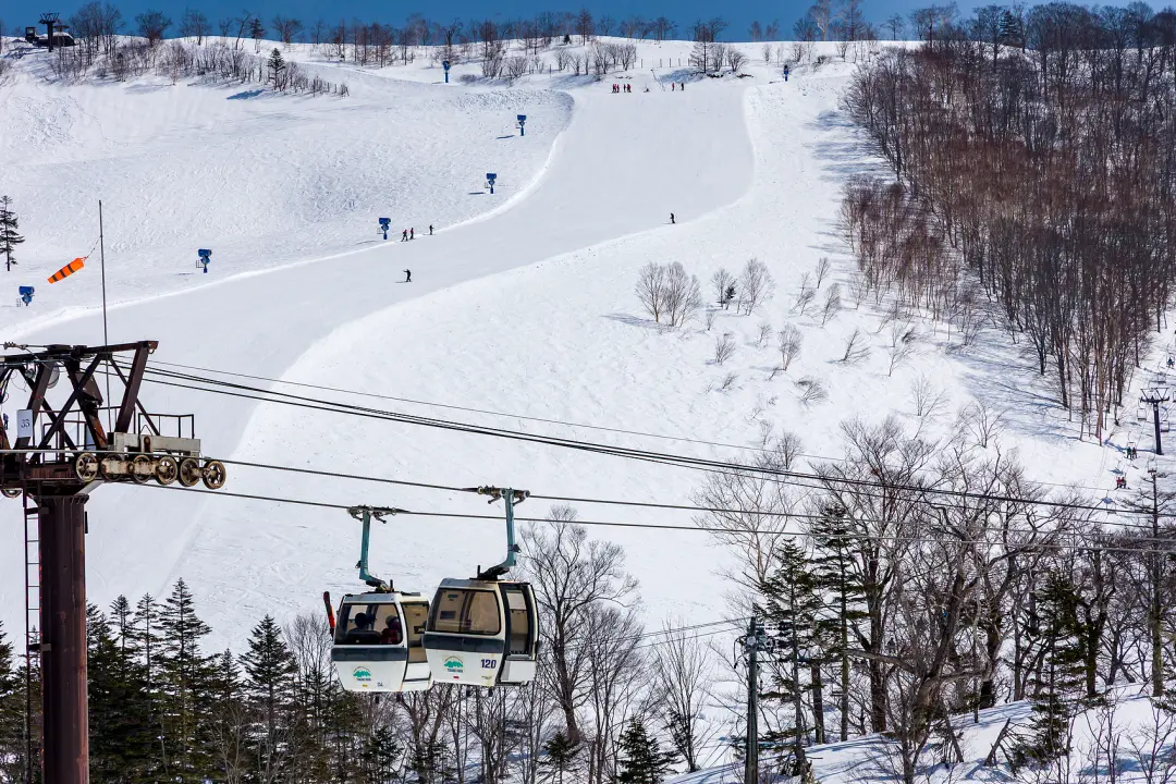 △长野县白马山，栂池滑雪度假村。（图/视觉中国）