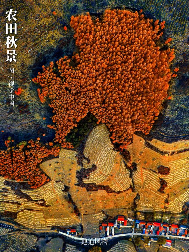 最极致的枫叶秋景，都凝聚在这座东北县城