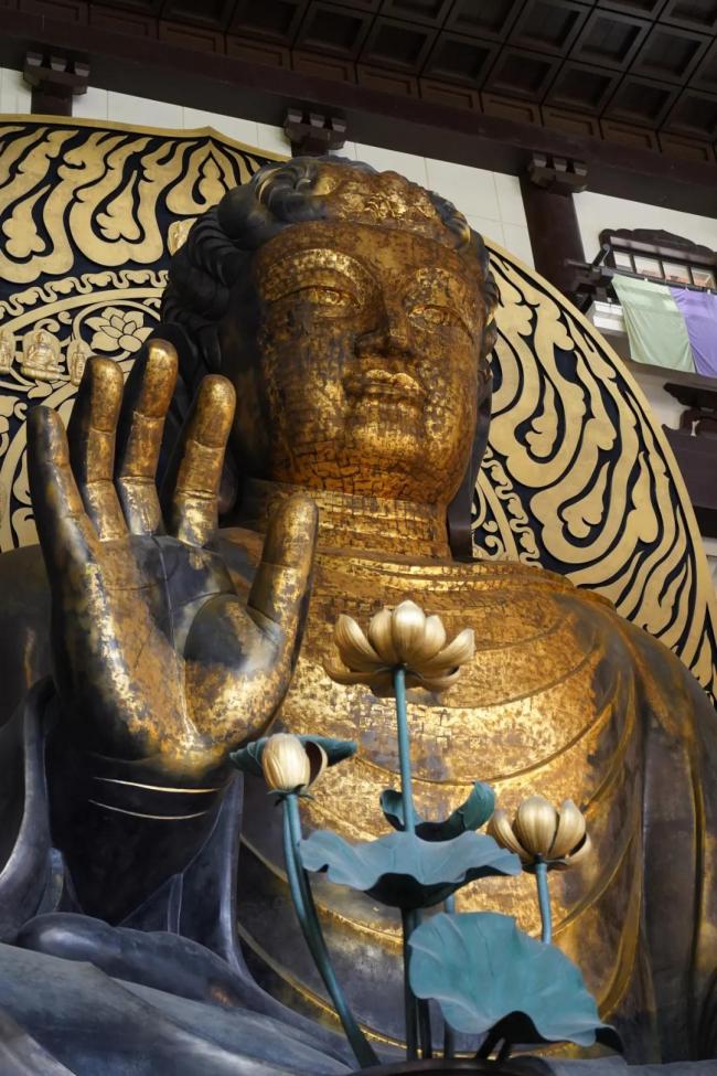 日本北陆之旅——福井
