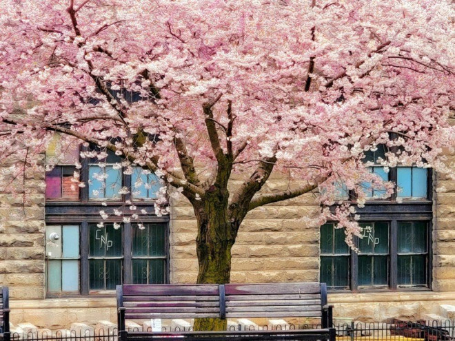 https://images.openai.com/static-rsc-4/2_qNvyrbzhLHcxMM-TNwO-F58pIX7xfnJd1ZabTtZspZPc_znA8wi57tetghJ3GfOVZ6lzglqNsgv6pJduFN2jybL8vhP3TLOuG5SImUuMkmtPTeRmc2eZonf8vih8WY2QEsN_tAZhV3DopbGDHqp-CS3uZadu-7EfBkjfL3W24Z7BIwMbDE3yJZKw9c3H5R?purpose=fullsize