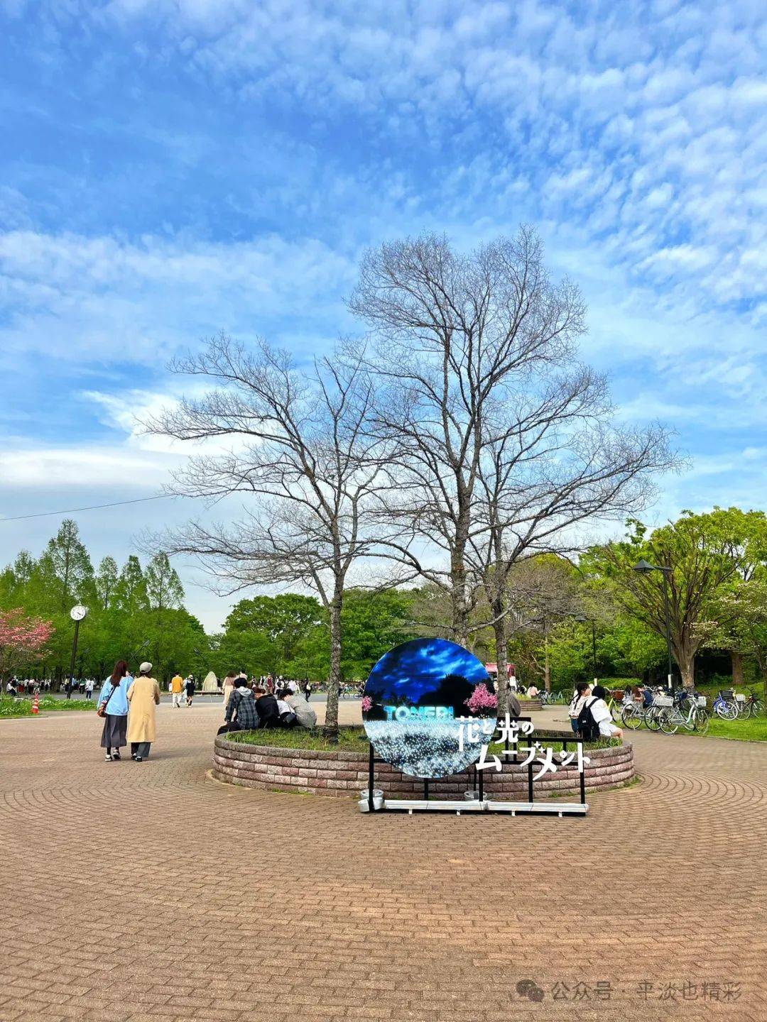 赴日旅行日记（十八）蓝色粉蝶