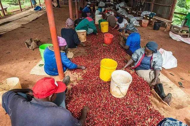 世界最穷国：生活艰难 自行车成奢侈品
