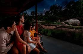 一次轻松的新加坡亲子旅行体验