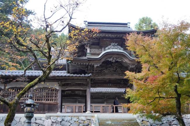 日本北陆之旅——福井