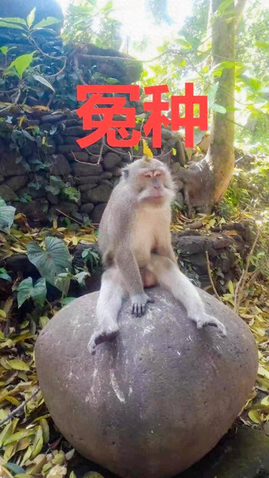旅行：血泪的第一天 我在巴厘岛被宰的经历