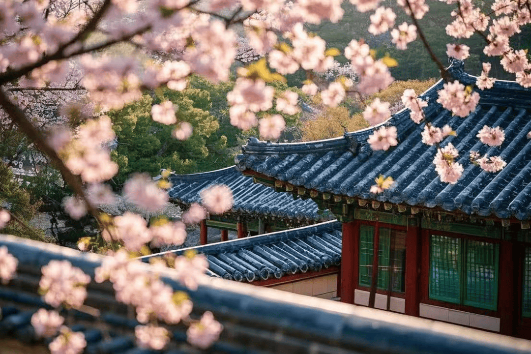 春天 我们一起玩转韩国首尔