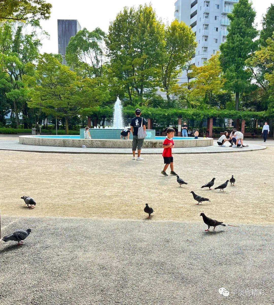 赴日旅行日记（九）逛水族馆