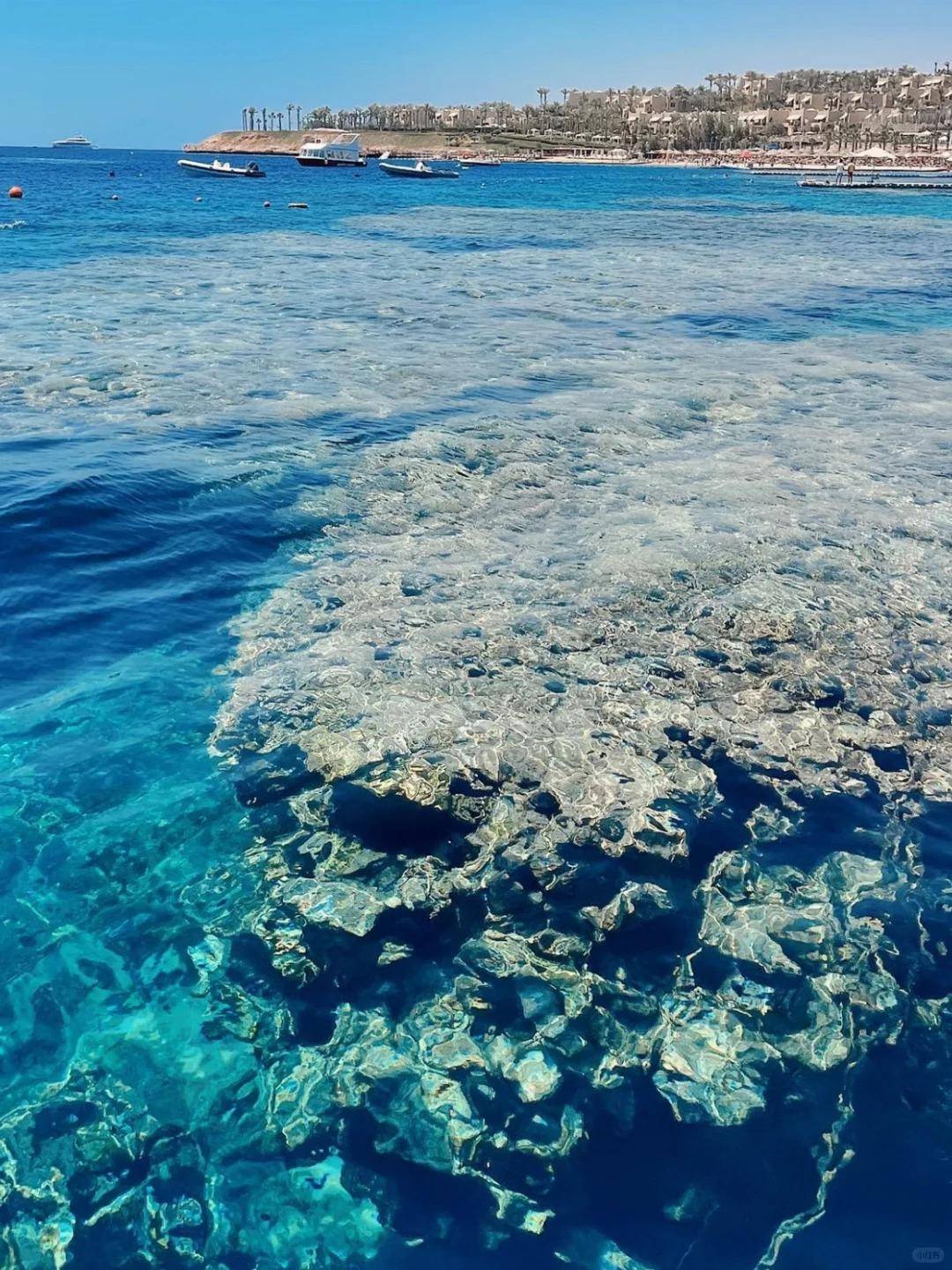 非洲摩洛哥海边之旅：探索神秘的蓝色奇迹