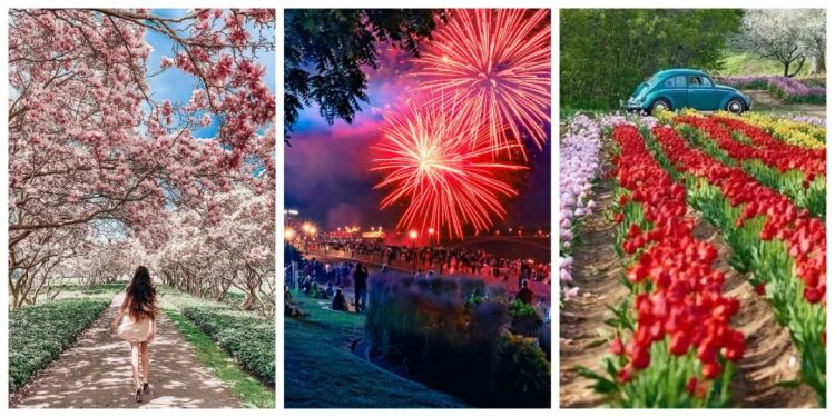 尼亚加拉大瀑布最美时节 烟花秀+各种花海登场