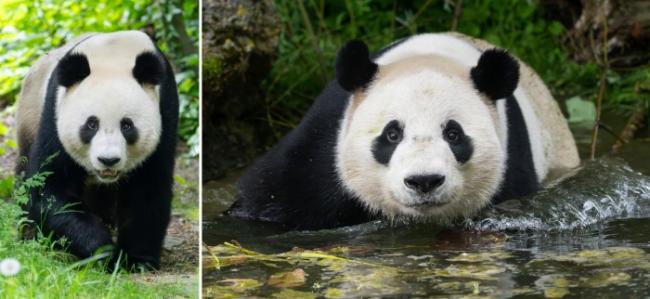 在美泉宫的帝王之日——一场充满历史的体验