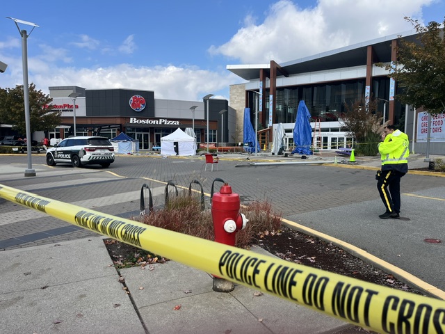 卑诗省Tsawwassen Mills商场停车场突发事故 两行人遇难（配图4）