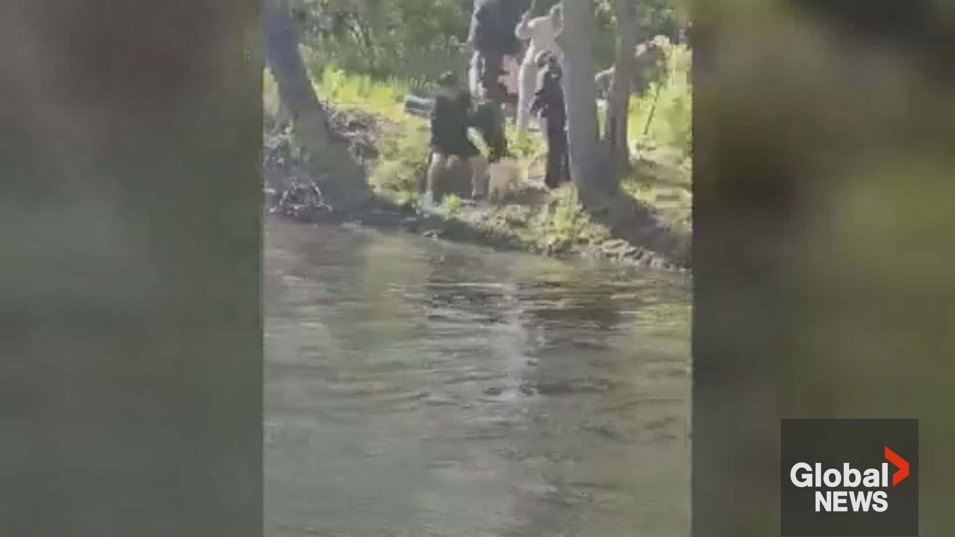 北卡宠物农场四只小山羊确诊狂犬病，引发潜在暴露风险（配图3）