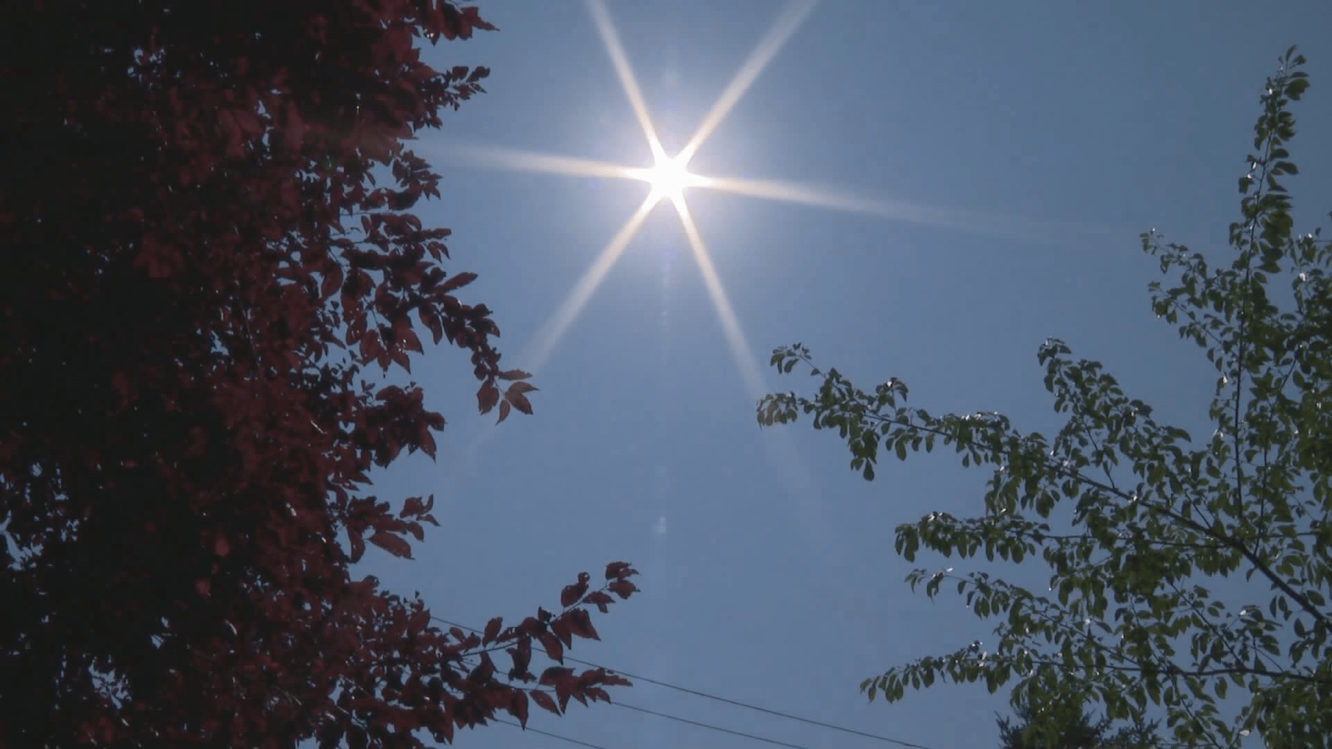 美国的热穹可能会对加拿大产生暴风雨的影响。今年夏天会发生什么 ...