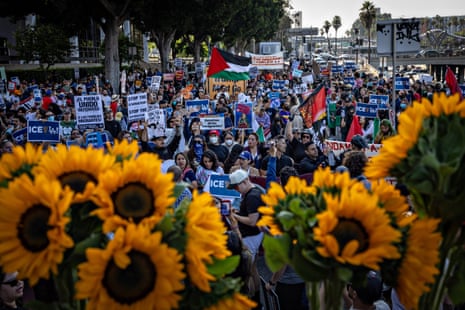 Sunflowers in the foreground of a large demonstration outside