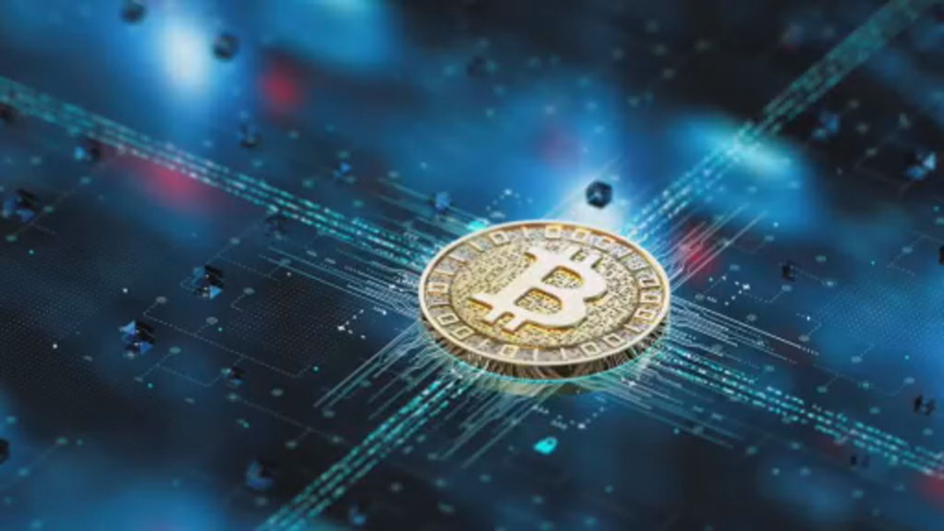 当特朗普转向放松行业时，白宫接待了加密货币领导人