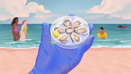 Illustration of hand examining oysters at a beach.