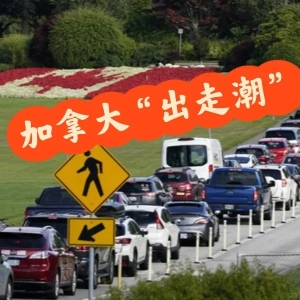 全跑了！加拿大爆“出走潮”:南下移民10年新高