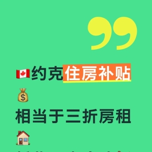 🇨🇦约克住房补贴，三折房租