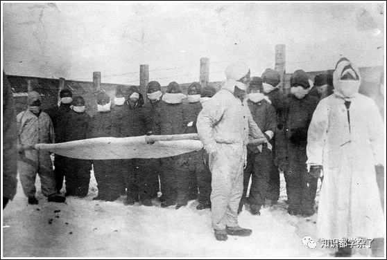 解密1910年哈尔滨鼠疫席卷大半个中国，6万人死亡！是如何被消灭的？